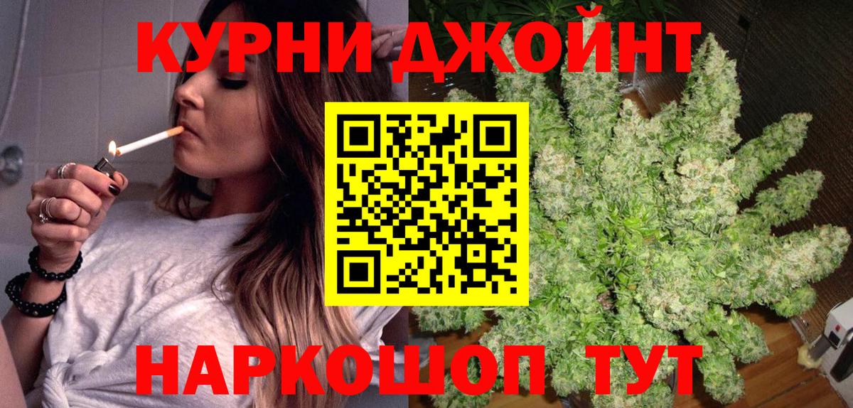 Марихуана семена  Родники  Каннабис планчик  Бошки Шишки план  Бошки Шишки сатива 